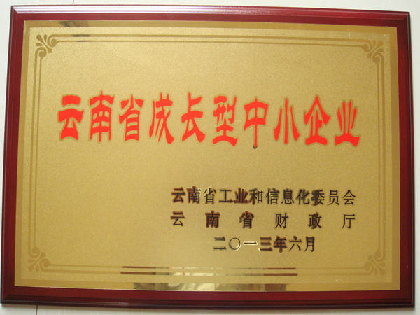 关于经济实惠型网络服务器的价格指南